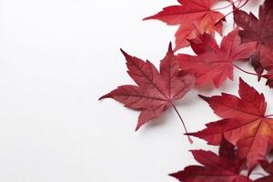 rood esdoorn- bladeren geïsoleerd Aan wit achtergrond, genereren ai foto