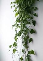 een groen verticaal Liaan met groen bladeren hangen, in de stijl van comfortabel kern. genereren ai foto