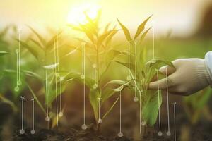 agrarisch technologieën voor groeit planten en wetenschappelijk Onderzoek in de veld- van biologie en chemie van natuur. leven groen spruit in de handen van een boer, genereren ai foto