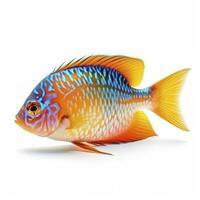 tropisch vis geïsoleerd Aan wit achtergrond, genereren ai foto