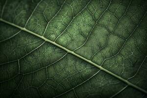 extreem dichtbij omhoog structuur van groen blad aderen, vol kader schot van groen blad, genereren ai foto