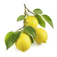 Afdeling van sappig citroenen met bladeren geïsoleerd Aan wit achtergrond, genereren ai foto