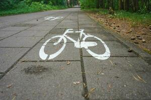 fiets pad in de Woud. fiets pad ondertekend met wit verf Aan de concreet. foto