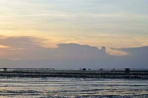 achtergrond silhouet avond zonsondergang van de modderig zee in Thailand foto
