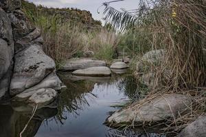 rustige vijver met stenen en riet in een natuurpark foto