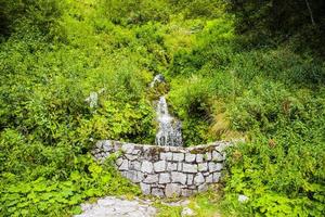 kleine waterval in bos foto