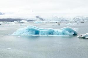 ijslandse ijsberg en een noordse stormvogel foto
