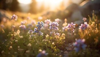 levendig wilde bloemen weide in de rustig herfst zonsopkomst, onscherp achtergrond gegenereerd door ai foto