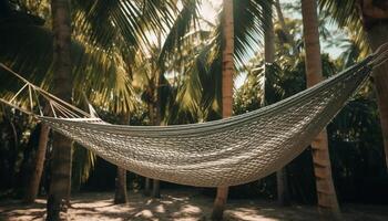 hangmat hangende van palm boom, rustig paradijs gegenereerd door ai foto