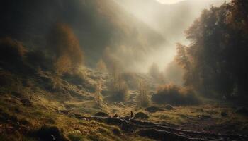 mysterieus mist lijkwaden rustig Woud landschap gegenereerd door ai foto