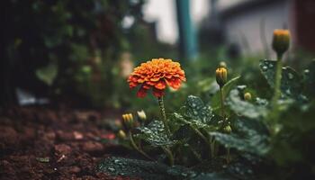 vers multi gekleurde wilde bloemen boeket brengt schoonheid naar landelijk weide gegenereerd door ai foto