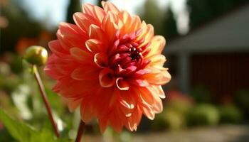 levendig boeket van multi gekleurde bloemen in een formeel tuin gegenereerd door ai foto