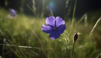 levendig wilde bloemen weide, een dichtbij omhoog van Purper bloemblaadjes in zonlicht gegenereerd door ai foto