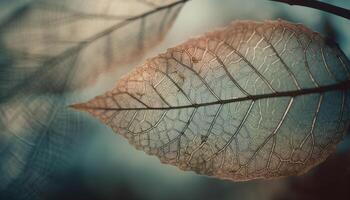 herfst schoonheid in natuur levendig kleuren, blad aderen, en patronen gegenereerd door ai foto