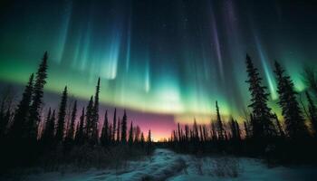 silhouet van naald- bomen onder sterrenhemel winter nacht lucht gegenereerd door ai foto