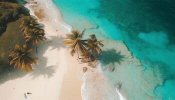 antenne visie van idyllisch caraïben kustlijn, turkoois wateren en palm bomen gegenereerd door ai foto