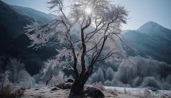 eenzaamheid in extreem terrein, terug lit door zonsopkomst schoonheid gegenereerd door ai foto