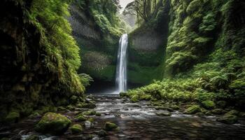 rustig tafereel van vloeiende water in weelderig tropisch regenwoud milieu gegenereerd door ai foto