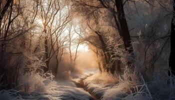 een mistig winter ochtend, rustig tafereel, bevroren voetpad, schoonheid in natuur gegenereerd door ai foto