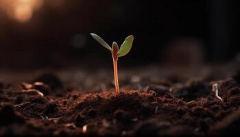 nieuw begin in biologisch tuinieren zaaien duurzame zaden voor succes gegenereerd door ai foto