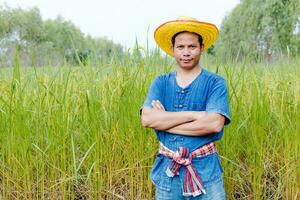 boeren zijn verkennen de rijst- velden. foto
