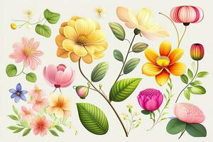bloem illustratie reeks vlak leggen foto