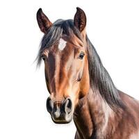 paard portret geïsoleerd. illustratie ai generatief foto