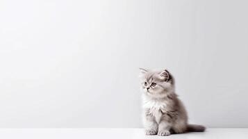 weinig kat Aan wit achtergrond - generatief ai foto