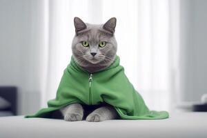 Russisch blauw kat vervelend groen jasje in huis. generatief ai foto