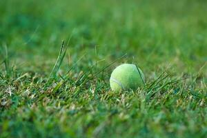 tennis bal in hoog grassen Aan de golf rechtbank, mahe Seychellen foto