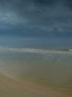 egmond strand in de Nederland foto