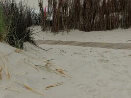 eiland spiekeroog in duitsland foto