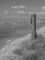 het eiland Spiekeroog foto