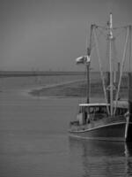 spiekeroog eiland in de noorden zee foto