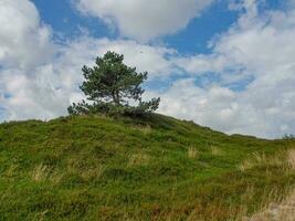 het eiland Spiekeroog foto