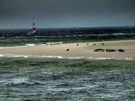 borkum eiland in de noorden zee foto