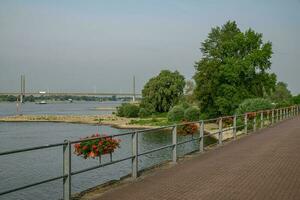 rees Bij de Rijn rivier- foto