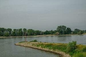 rees Bij de Rijn rivier- foto