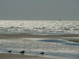 de haan stad in belgie foto