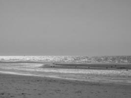 de strand van de haan Bij de noorden zee foto