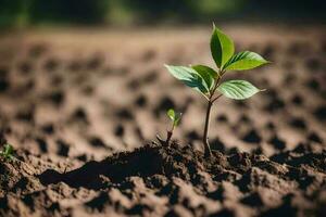 aanplant boom met vruchtbaar bodem. groen wereld en aarde dag concept achtergrond gemaakt met generatief ai foto