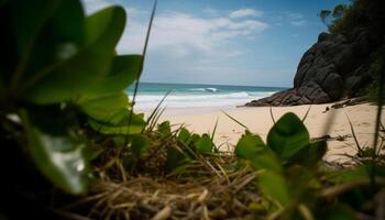 een rustig tafereel palm bomen, zand, golven gegenereerd door ai foto
