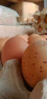 nietje voedsel - fotografie van een bundel van eieren Aan de ei dienblad foto