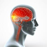pijn hoofd hoofdpijn hersenen blauw geneeskunde medisch rood anatomie röntgenfoto. generatief ai. foto
