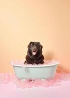 schattig Newfoundland hond in een klein bad met zeep schuim en bubbels, schattig pastel kleuren, generatief ai. foto