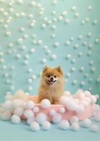 schattig pommeren hond in een klein bad met zeep schuim en bubbels, schattig pastel kleuren, generatief ai. foto