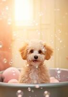schattig Maltipoo hond in een klein bad met zeep schuim en bubbels, schattig pastel kleuren, generatief ai. foto