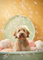 schattig gouden tekening hond in een klein bad met zeep schuim en bubbels, schattig pastel kleuren, generatief ai. foto