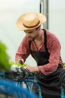 klein bedrijf eigenaren Aan een missie naar reparatie en installeren hun eigen biologisch groente tuin water infrastructuur. foto