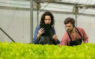 twee klein mensen uit het bedrijfsleven biologisch groente tuin eigenaar momenteel introduceren klanten en tonen hen zijn biologisch groente tuin via online systeem. foto